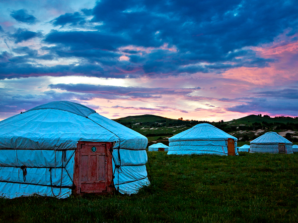 LINYANG Array image17