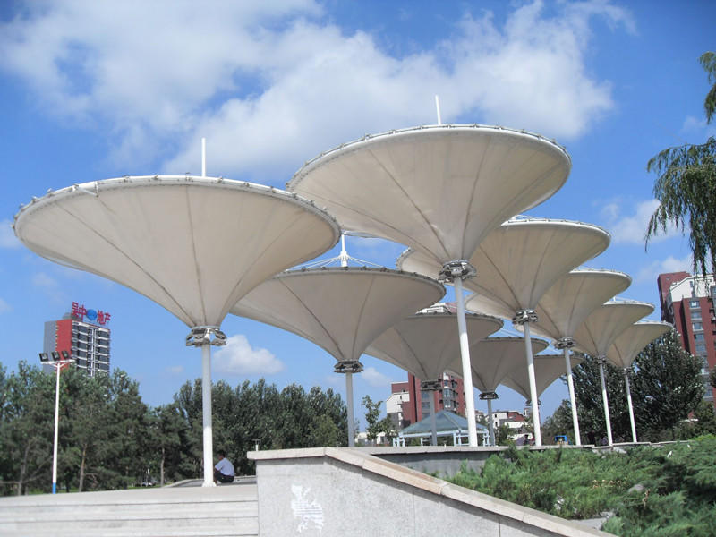 tensile resistant tensile membrane structure weather ability LIN-YANG company