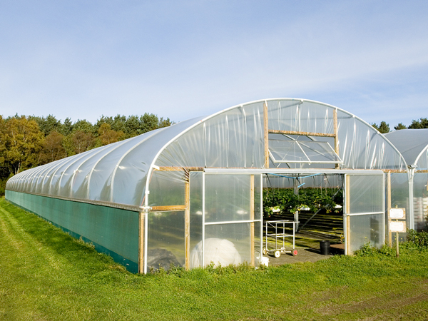 Eco-Agriculture Tarps