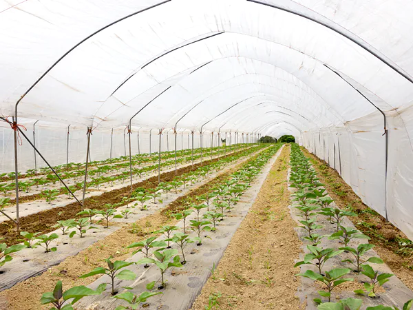 Eco-Agriculture Tarps