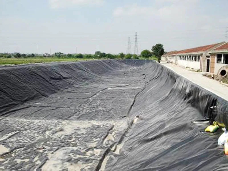 Impermeable Waterproof PVC Tarpaulin for Agricultural Drainage and Cover