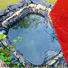high quality fish pond tarp manufacturer for fish pond