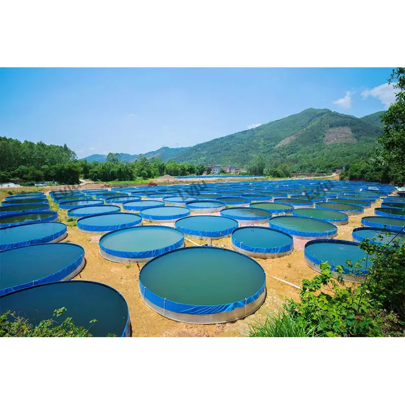 Blue Color PVC Fish Farm Pond Liner Tarpaulin Material For Fish Tank