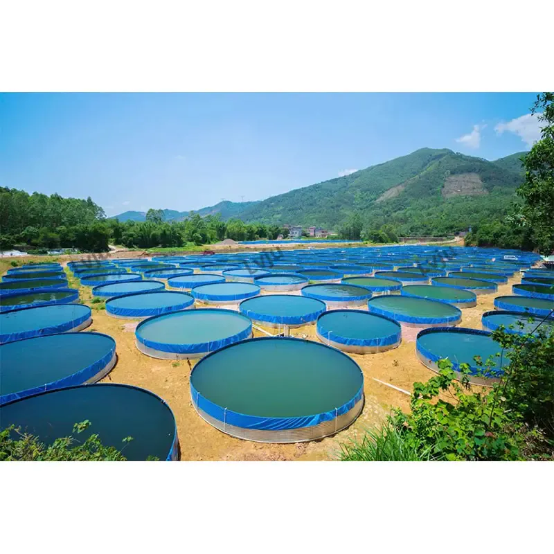 Large Round PVC Tarpaulin Aquaculture Biofloc Tilapia RAS Fish Tank Farming